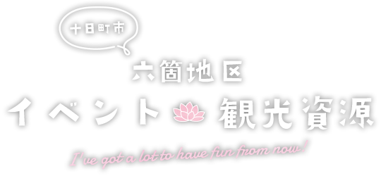 十日町市六箇地区｜イベント・観光資源